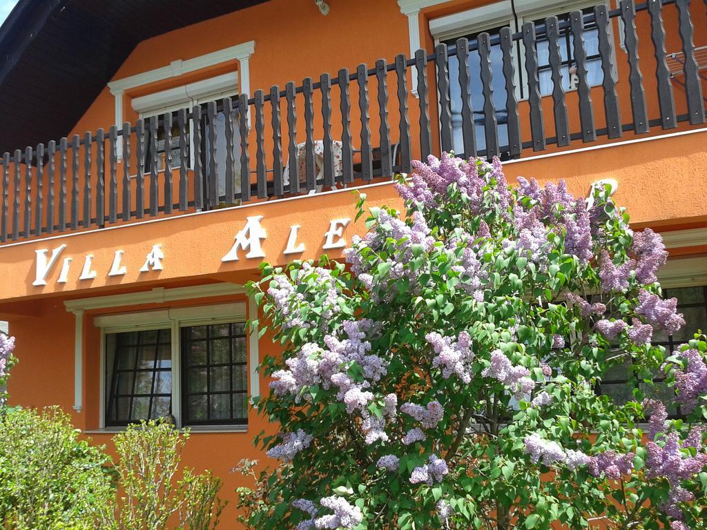 Villa Alexandr Alsopahok Exterior photo